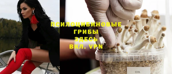 jwh Алзамай